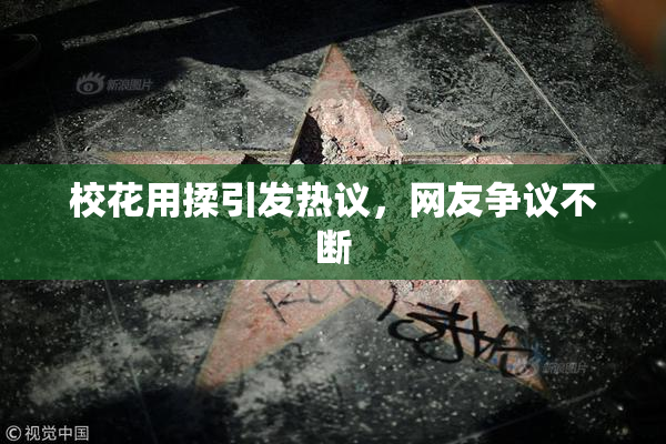 校花用揉引发热议，网友争议不断