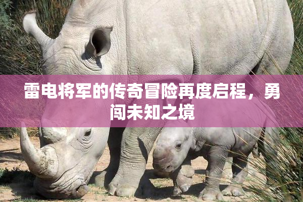 雷电将军的传奇冒险再度启程，勇闯未知之境