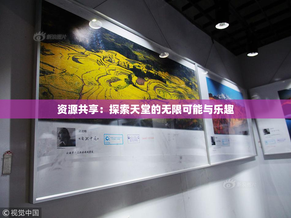 资源共享：探索天堂的无限可能与乐趣