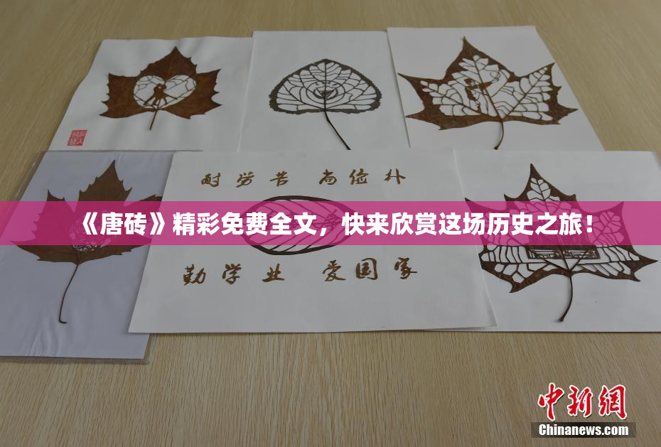 《唐砖》精彩免费全文，快来欣赏这场历史之旅！