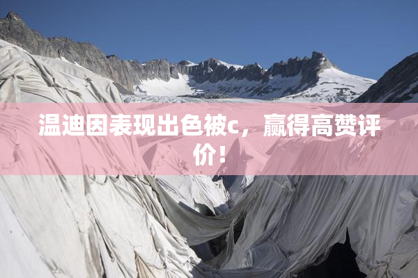 温迪因表现出色被c，赢得高赞评价！