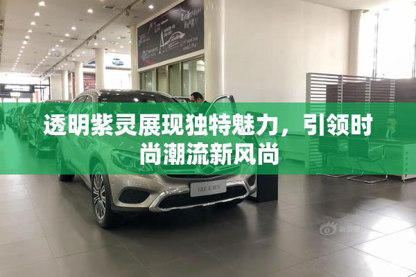 透明紫灵展现独特魅力，引领时尚潮流新风尚