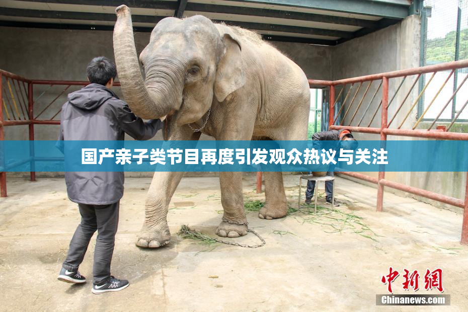 国产亲子类节目再度引发观众热议与关注