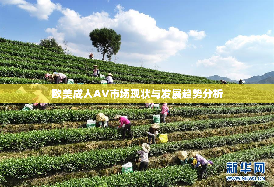 欧美成人AV市场现状与发展趋势分析