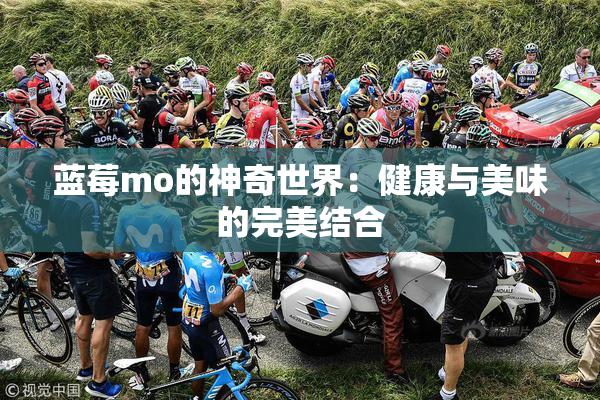 蓝莓mo的神奇世界：健康与美味的完美结合