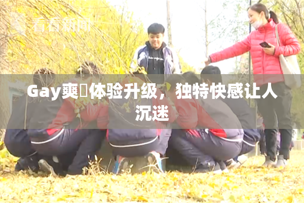Gay爽擼体验升级，独特快感让人沉迷