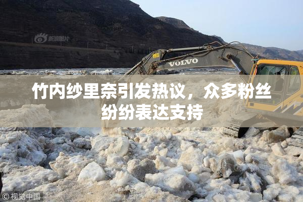 竹内纱里奈引发热议，众多粉丝纷纷表达支持