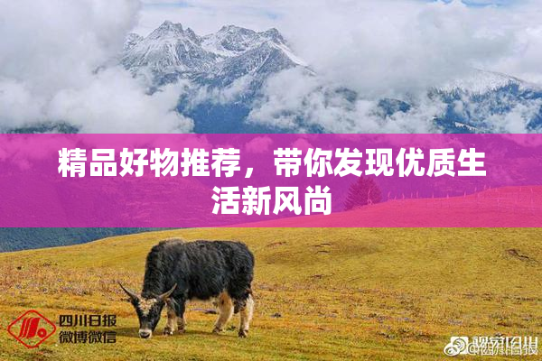 精品好物推荐，带你发现优质生活新风尚