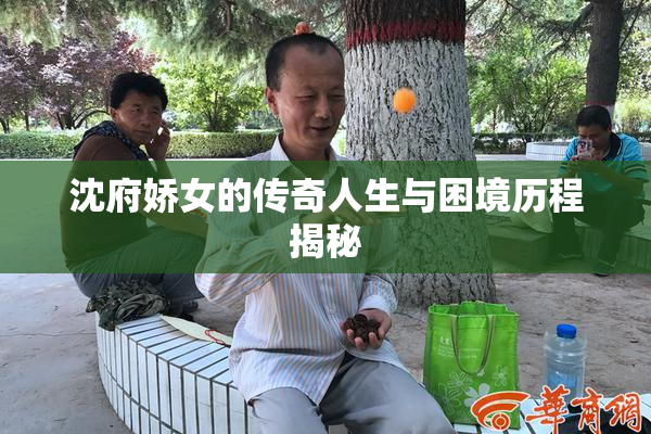 沈府娇女的传奇人生与困境历程揭秘