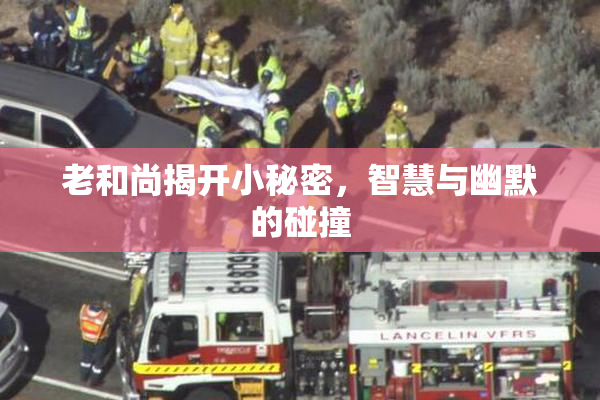 老和尚揭开小秘密，智慧与幽默的碰撞