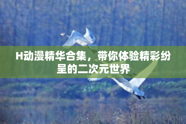 H动漫精华合集，带你体验精彩纷呈的二次元世界