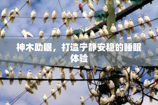 神木助眠，打造宁静安稳的睡眠体验