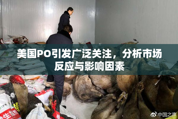 美国PO引发广泛关注，分析市场反应与影响因素