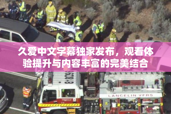 久爱中文字幕独家发布，观看体验提升与内容丰富的完美结合
