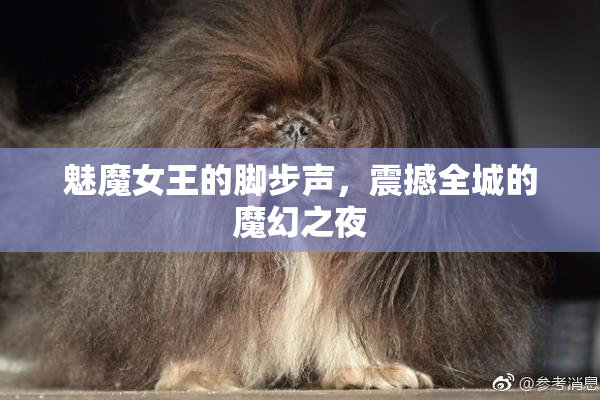 魅魔女王的脚步声，震撼全城的魔幻之夜
