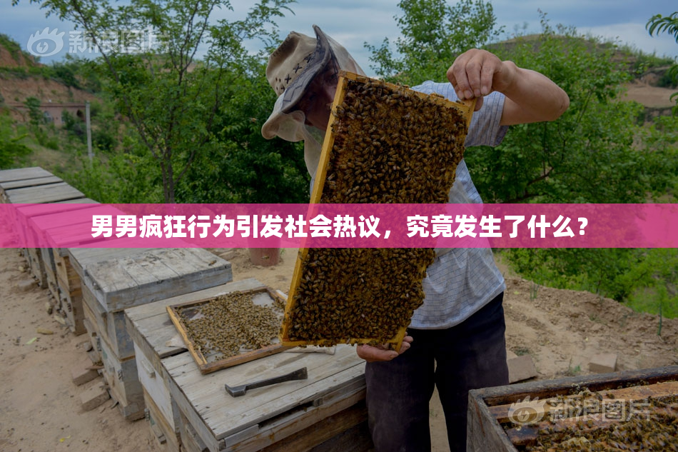 男男疯狂行为引发社会热议，究竟发生了什么？