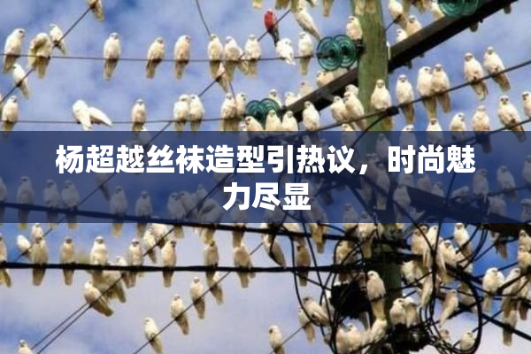 杨超越丝袜造型引热议，时尚魅力尽显