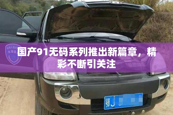 国产91无码系列推出新篇章，精彩不断引关注