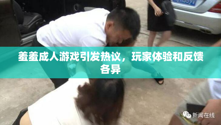 羞羞成人游戏引发热议，玩家体验和反馈各异