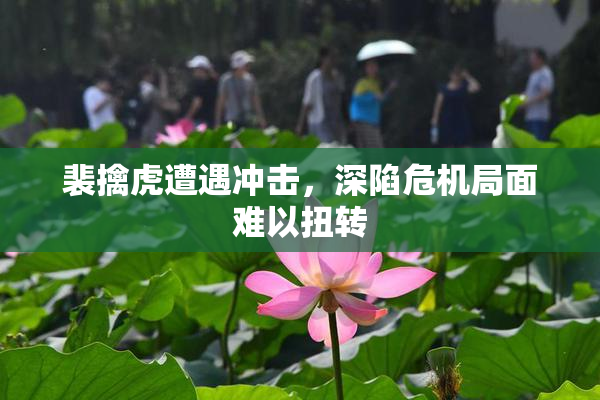 裴擒虎遭遇冲击，深陷危机局面难以扭转