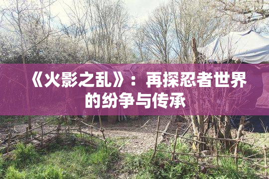 《火影之乱》：再探忍者世界的纷争与传承