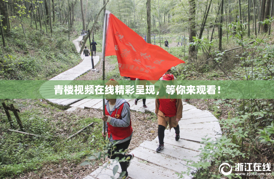 青楼视频在线精彩呈现，等你来观看！