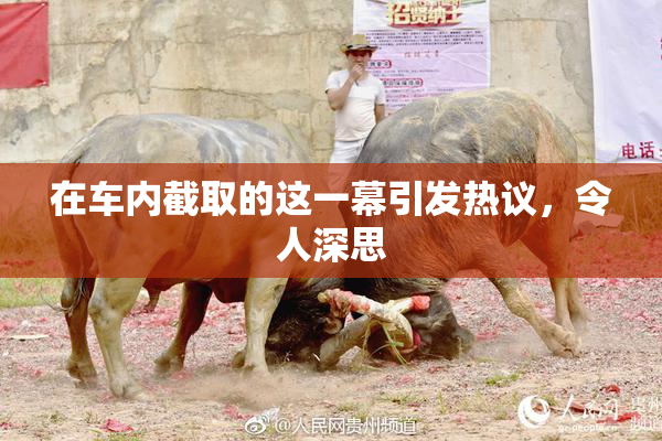 在车内截取的这一幕引发热议，令人深思