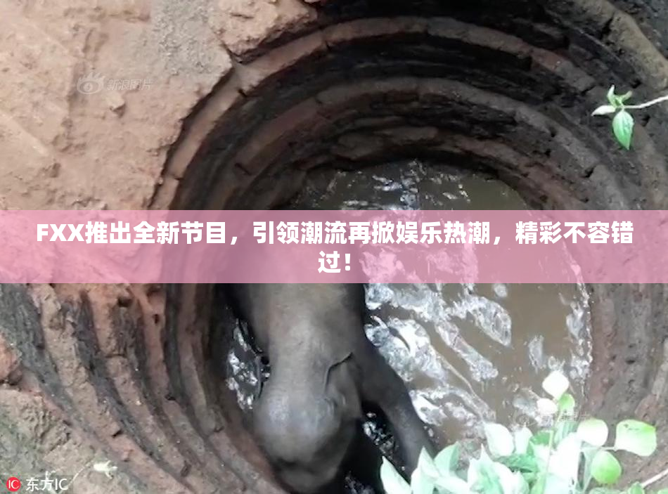 FXX推出全新节目，引领潮流再掀娱乐热潮，精彩不容错过！
