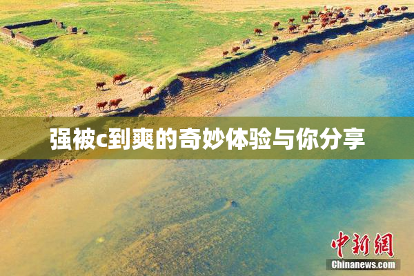 强被c到爽的奇妙体验与你分享