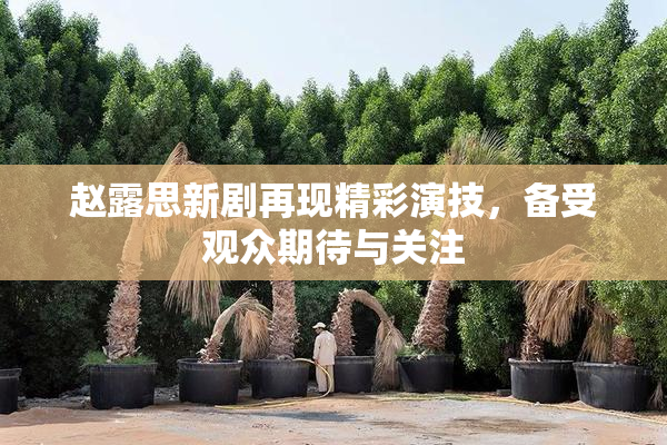 赵露思新剧再现精彩演技，备受观众期待与关注