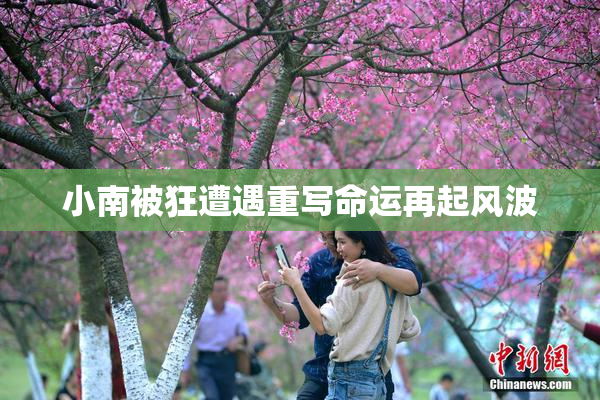 小南被狂遭遇重写命运再起风波