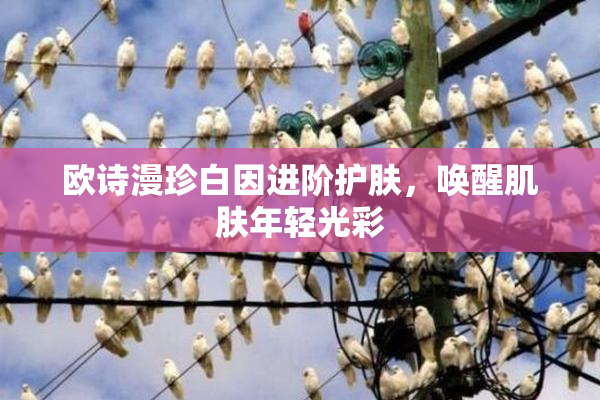 欧诗漫珍白因进阶护肤，唤醒肌肤年轻光彩