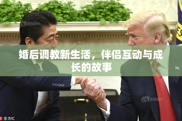 婚后调教新生活，伴侣互动与成长的故事