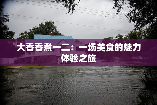 大香香煮一二：一场美食的魅力体验之旅