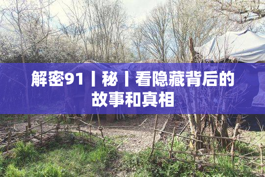 解密91丨秘丨看隐藏背后的故事和真相