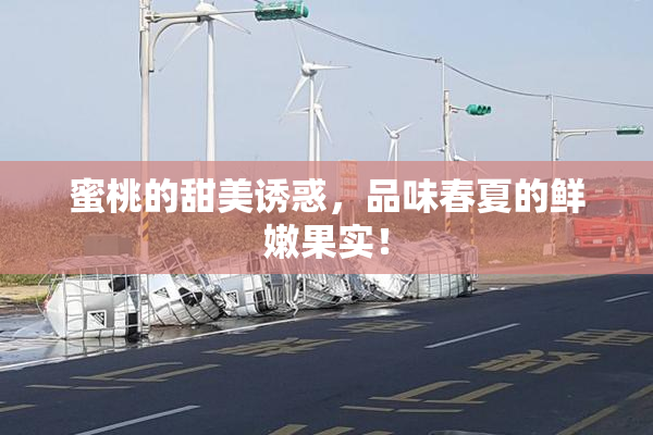 蜜桃的甜美诱惑，品味春夏的鲜嫩果实！