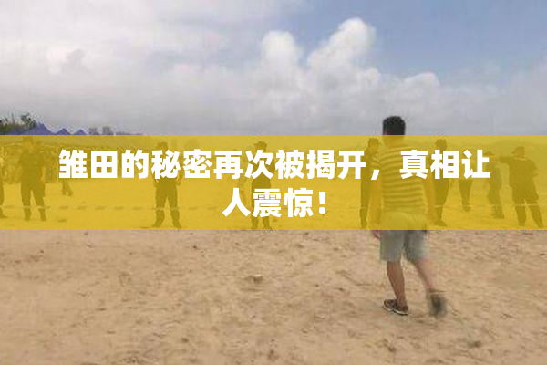 雏田的秘密再次被揭开，真相让人震惊！