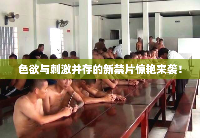 色欲与刺激并存的新禁片惊艳来袭！