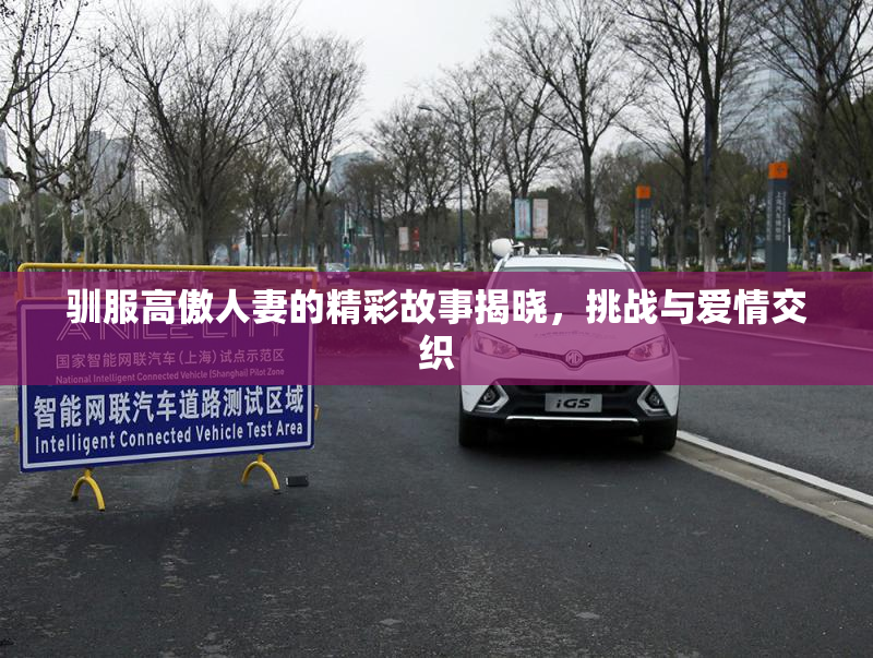 驯服高傲人妻的精彩故事揭晓，挑战与爱情交织
