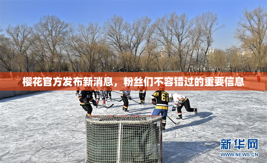 樱花官方发布新消息，粉丝们不容错过的重要信息