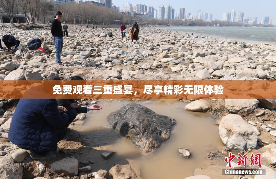 免费观看三重盛宴，尽享精彩无限体验