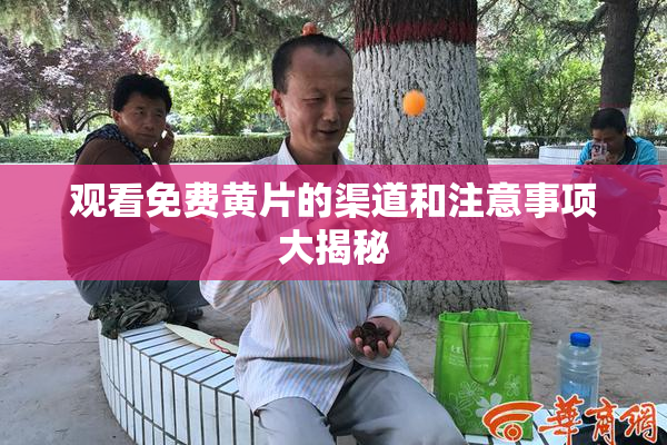 观看免费黄片的渠道和注意事项大揭秘