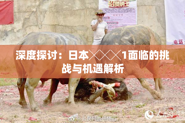 深度探讨：日本╳╳╳1面临的挑战与机遇解析