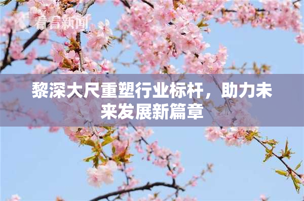 黎深大尺重塑行业标杆，助力未来发展新篇章