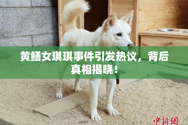黄鳝女琪琪事件引发热议，背后真相揭晓！