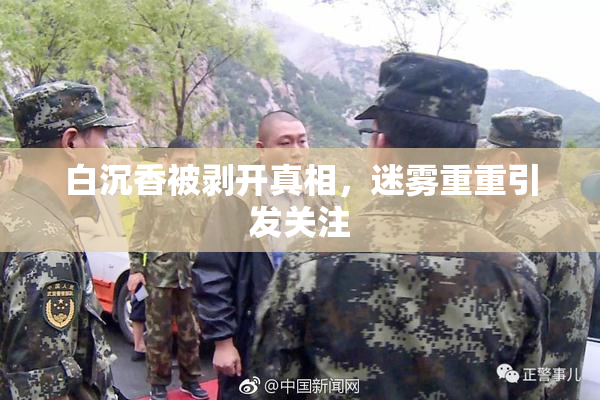 白沉香被剥开真相，迷雾重重引发关注