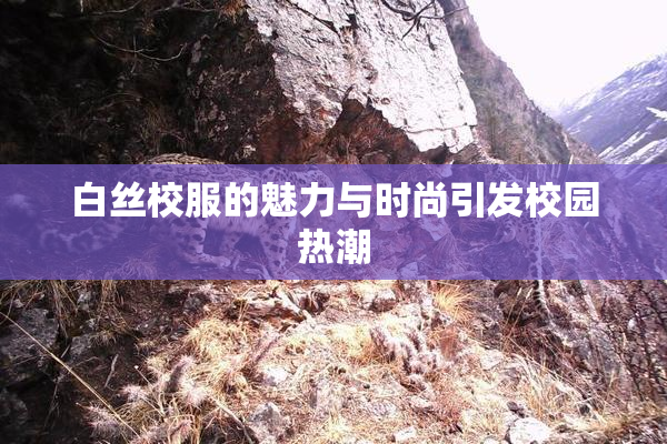 白丝校服的魅力与时尚引发校园热潮