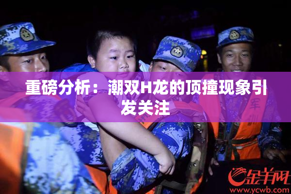 重磅分析：潮双H龙的顶撞现象引发关注
