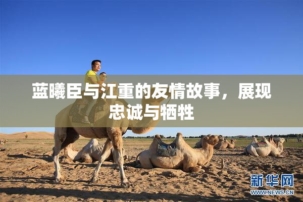 蓝曦臣与江重的友情故事，展现忠诚与牺牲
