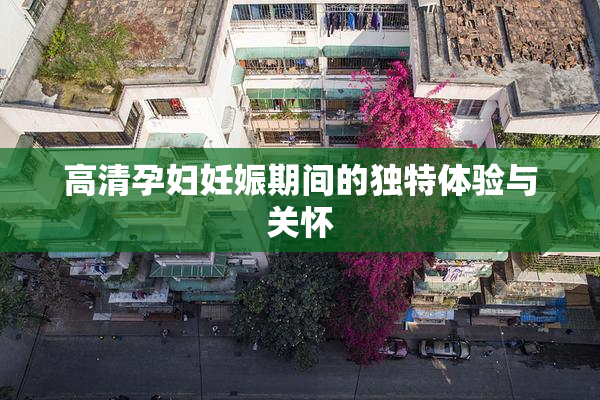 高清孕妇妊娠期间的独特体验与关怀
